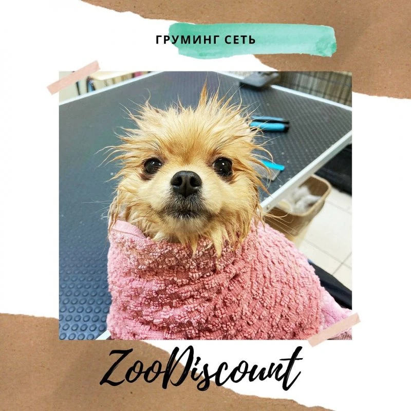 ZooDiscount