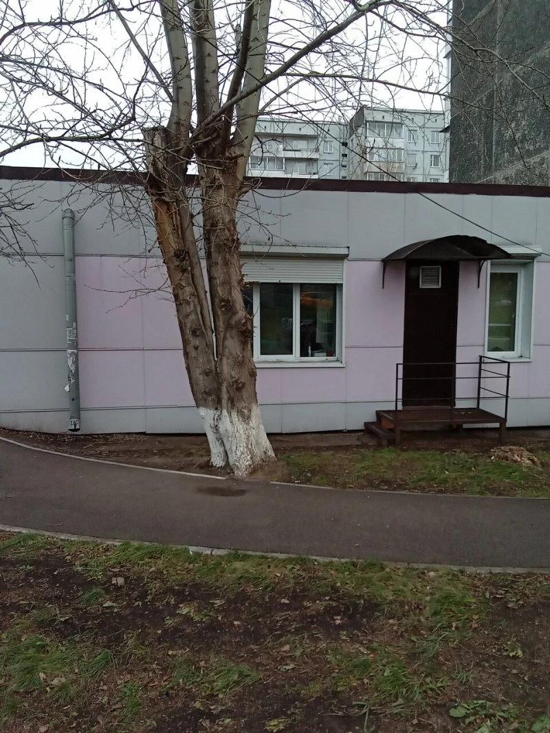 Комплексный центр социального обслуживания населения Кировский переулок Вузовский в Красноярске