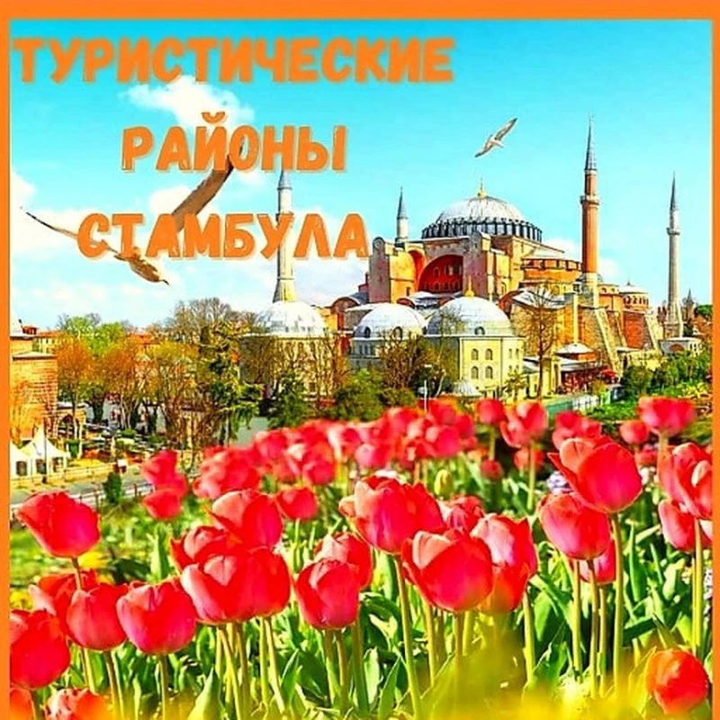 Пегас Туристик
