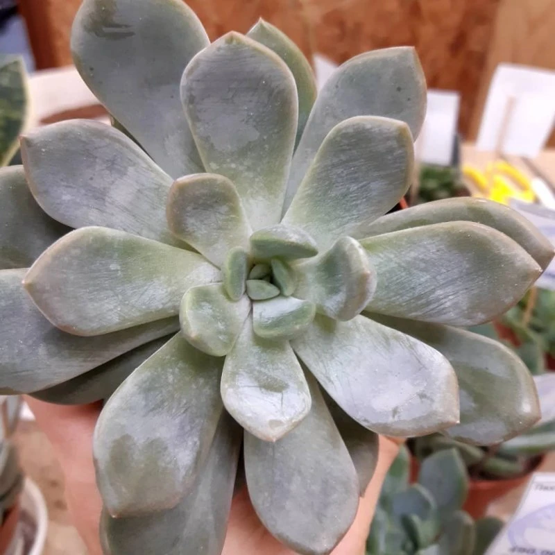 Фото 4