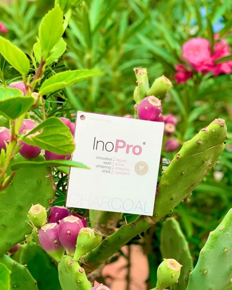 inoPro Professional Care