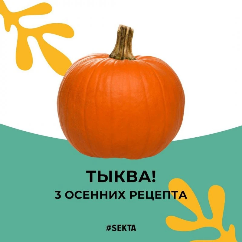 Sekta school