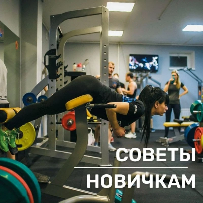 МК-спорт