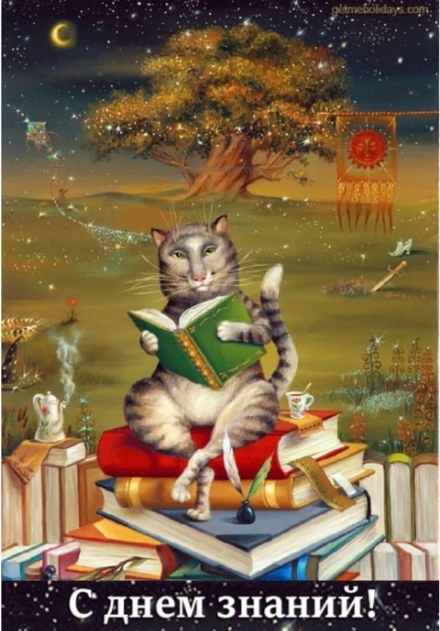 Кот учёный