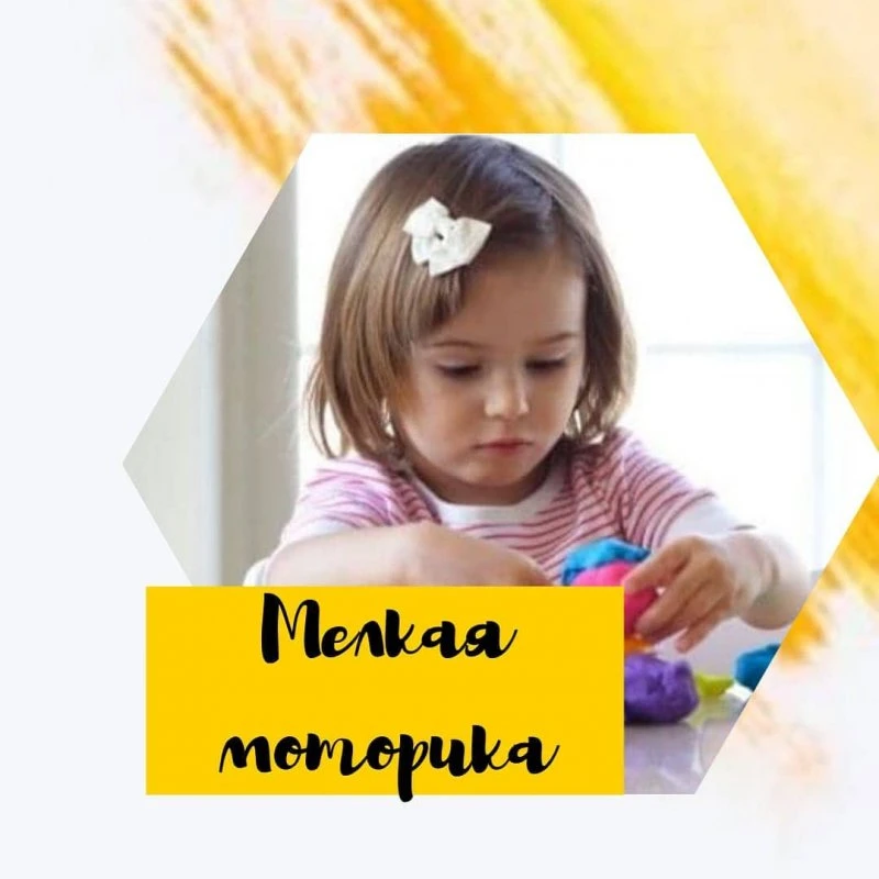 Академия Клевер Лэнд