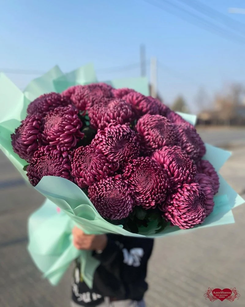 Азерифлорис
