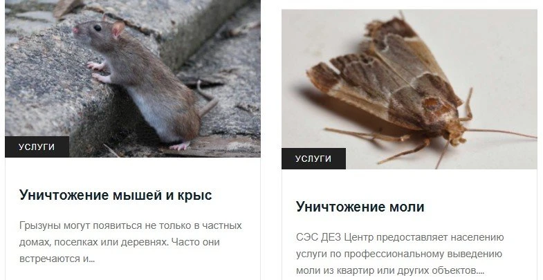 Дез Центр