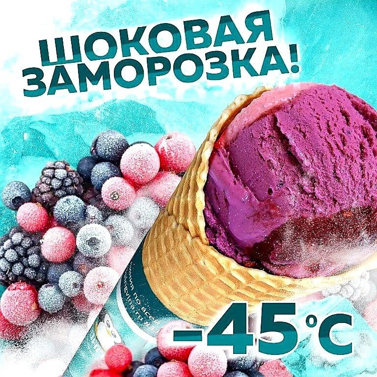 33 пингвина