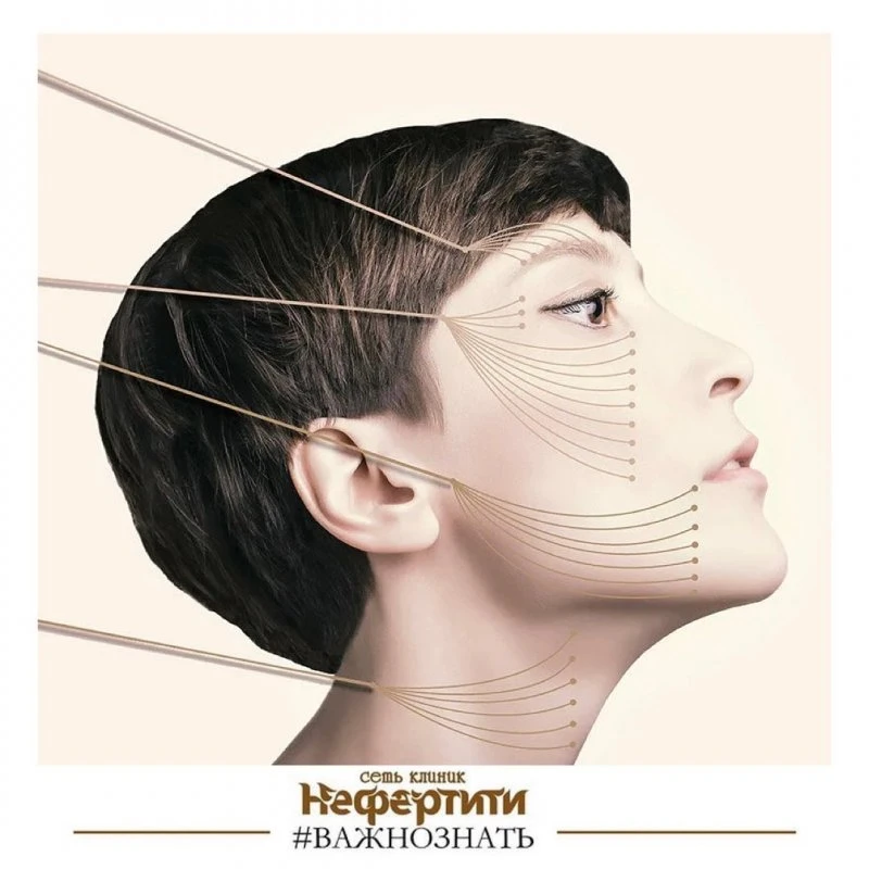 Нефертити
