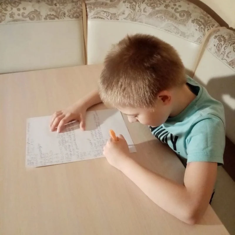 Систематика