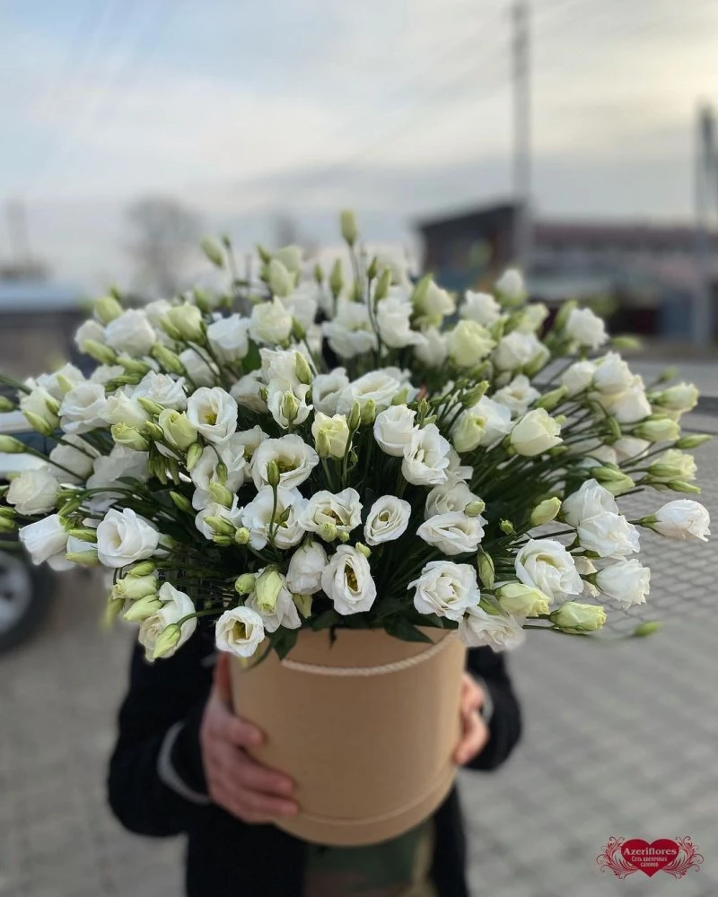 Азерифлорис