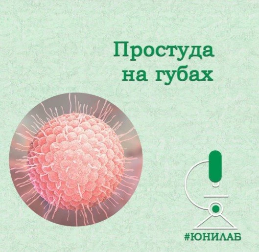 Юнилаб
