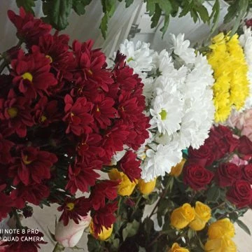 Фото 5