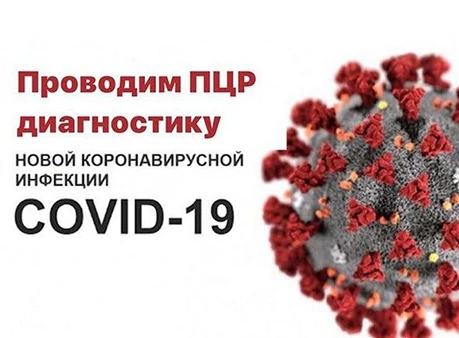 ЦНИЛ КрасГМУ Красноярская государственная медицинская академия Лаборатория
