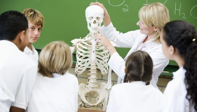 biology-ege.ru