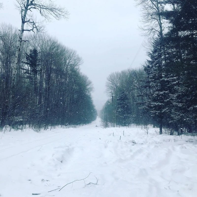 ГеоЭксперт