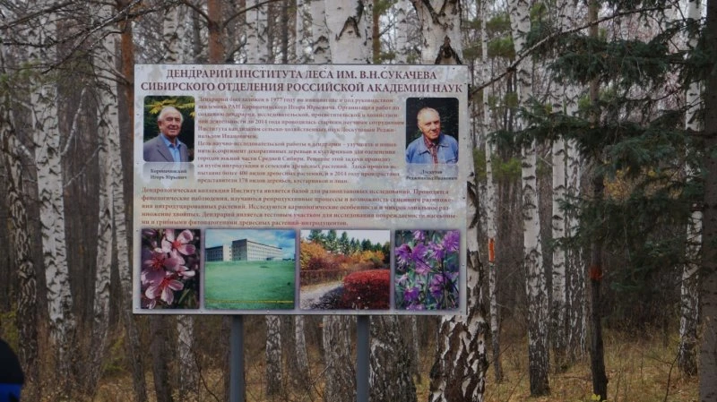 Дендрарий Института Леса имени В. Н. Сукачёва