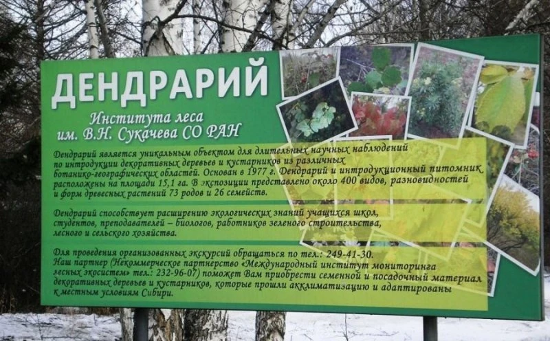 Дендрарий Института Леса имени В. Н. Сукачёва