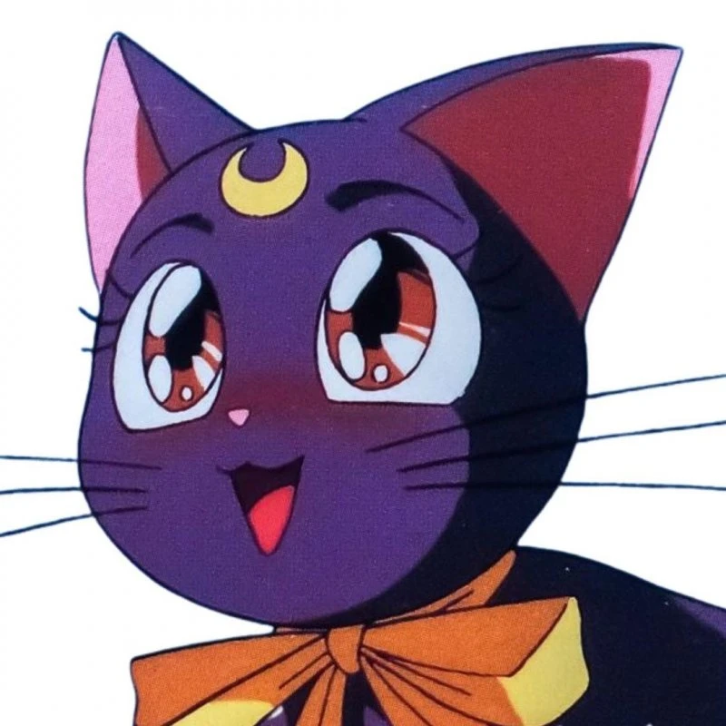Animation synergy