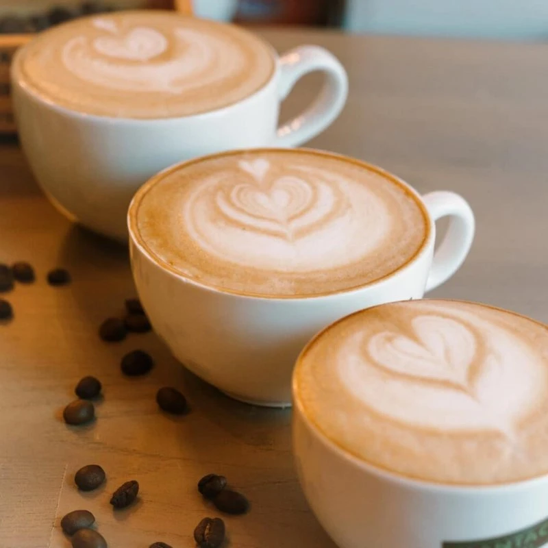 Plantacia Coffee