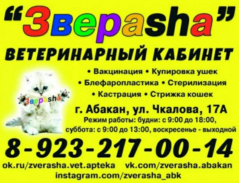 ЗВЕРАSHА