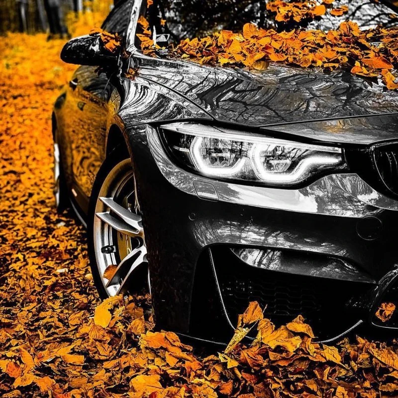 Фото 4