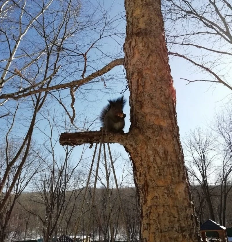 Железнодорожник