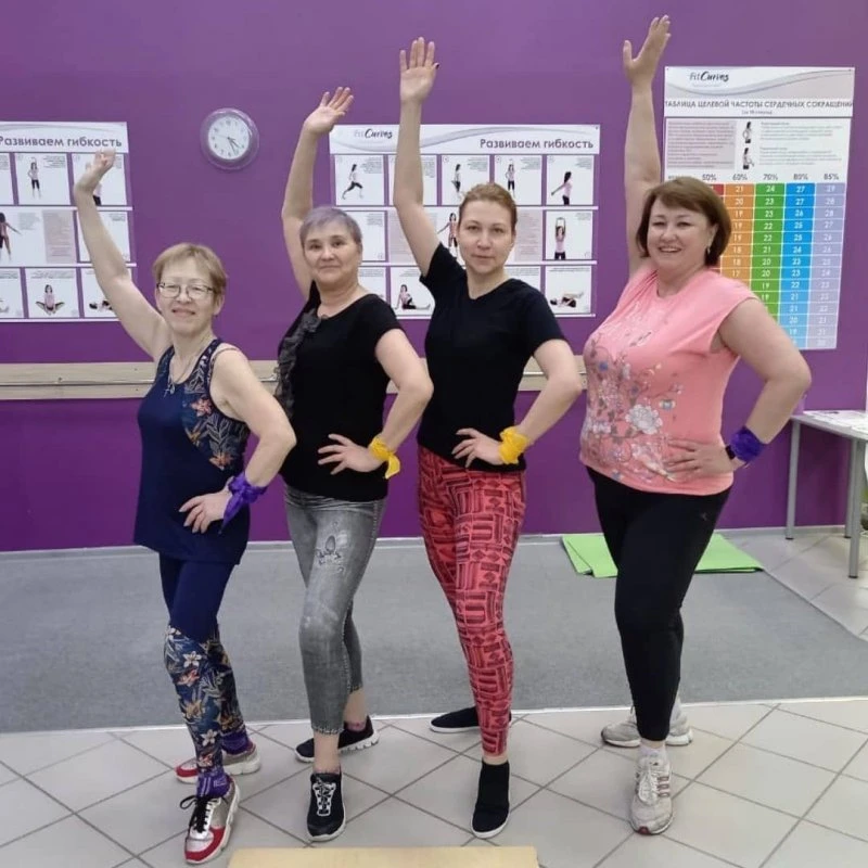 FitCurves