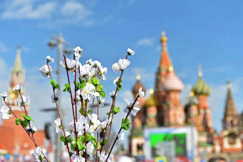 Пилигрим