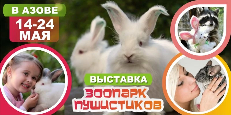Выездная выставка