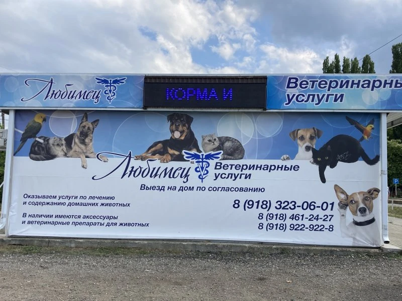 ЛЮБИМЕЦ