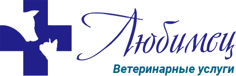 ЛЮБИМЕЦ