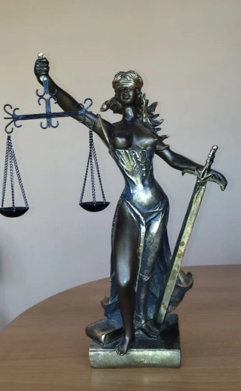Адвокат Жуковская М.В.