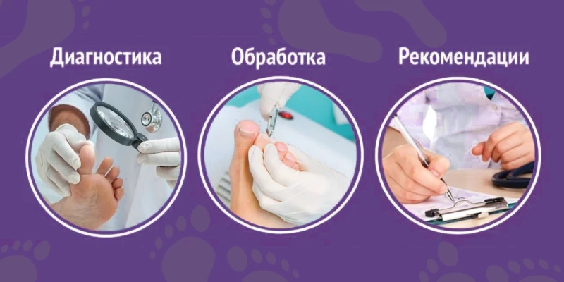 Подолог Евгения Мищенко