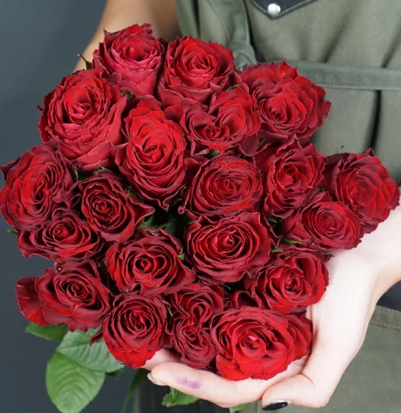 Rose-Novoross