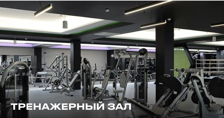 X-Fit