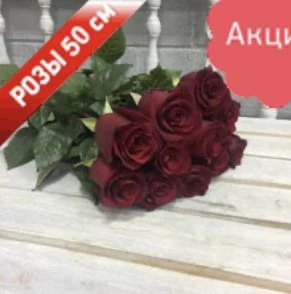 11 Роз
