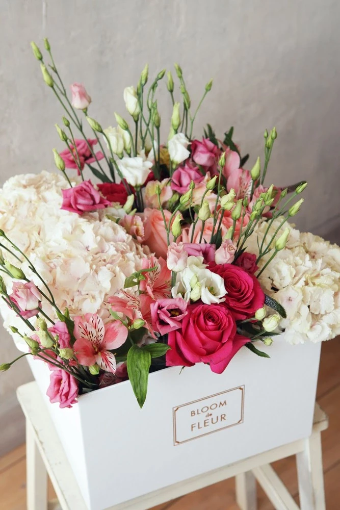 Bloom de fleur