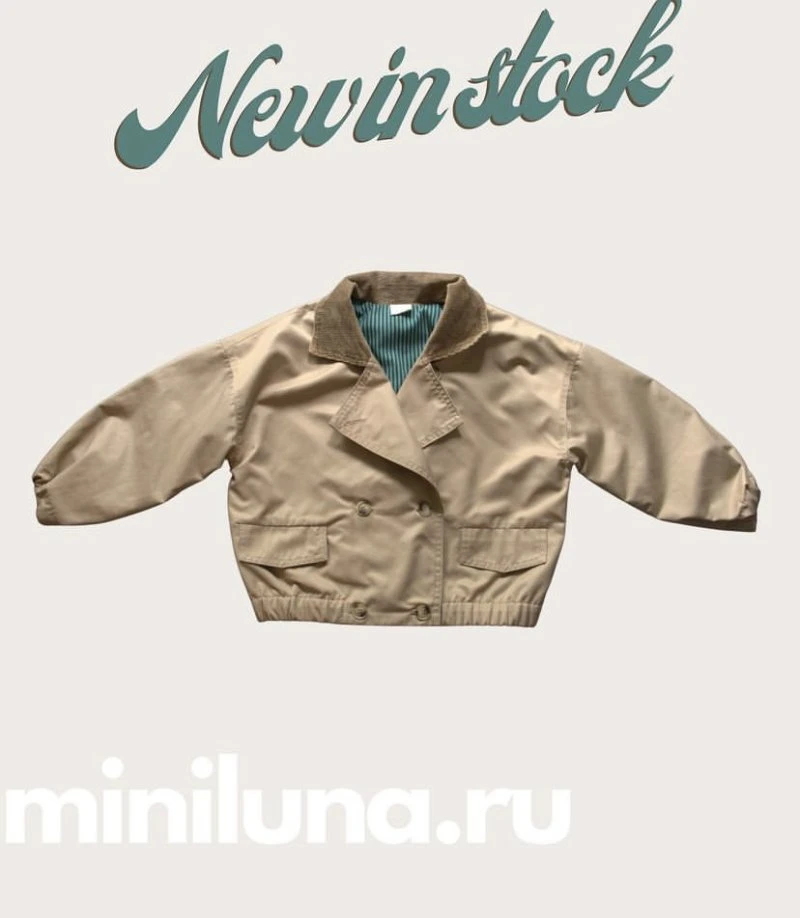 Miniluna
