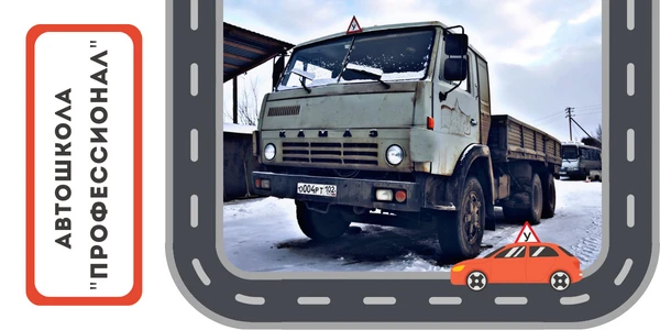 Профессионал