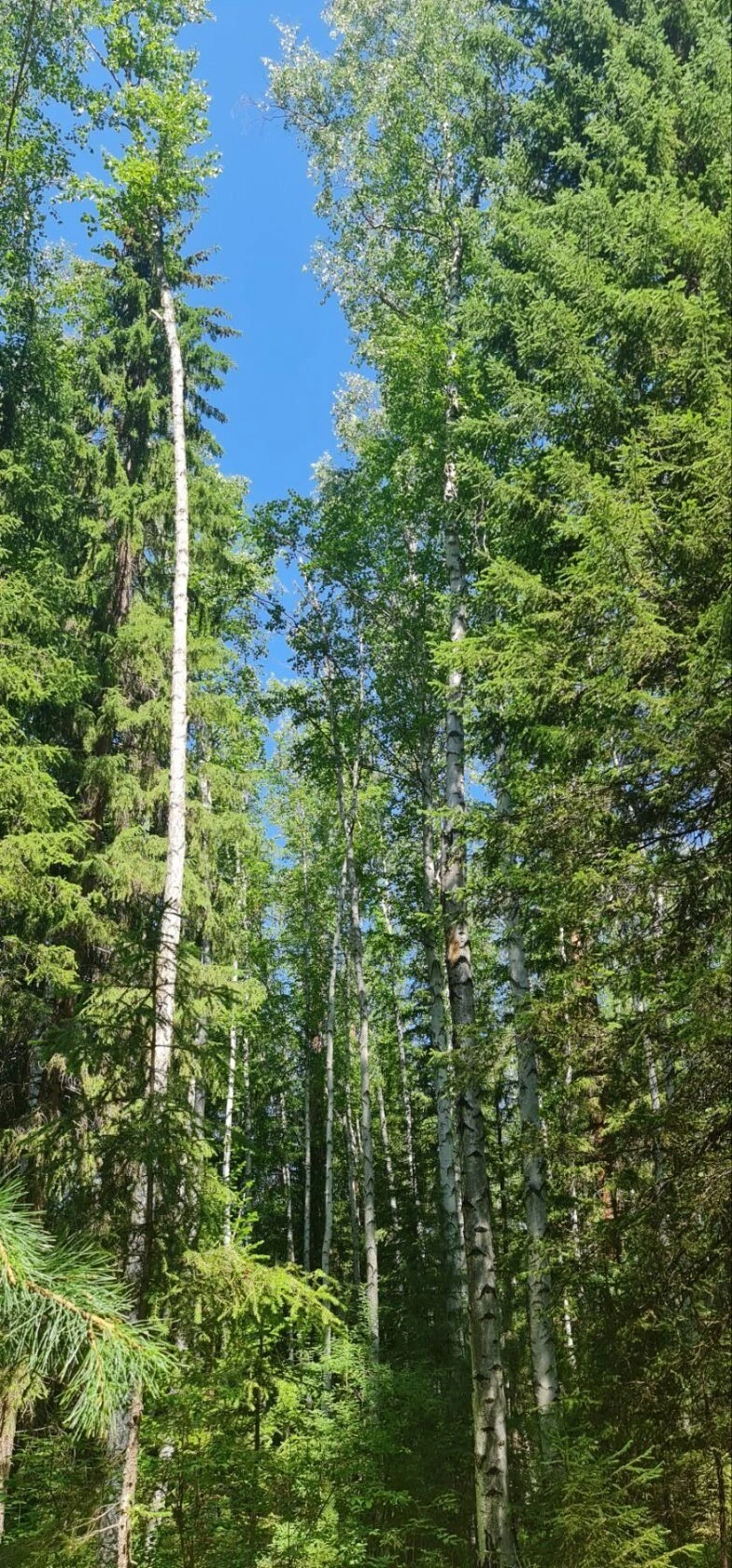 Букатовский Затон
