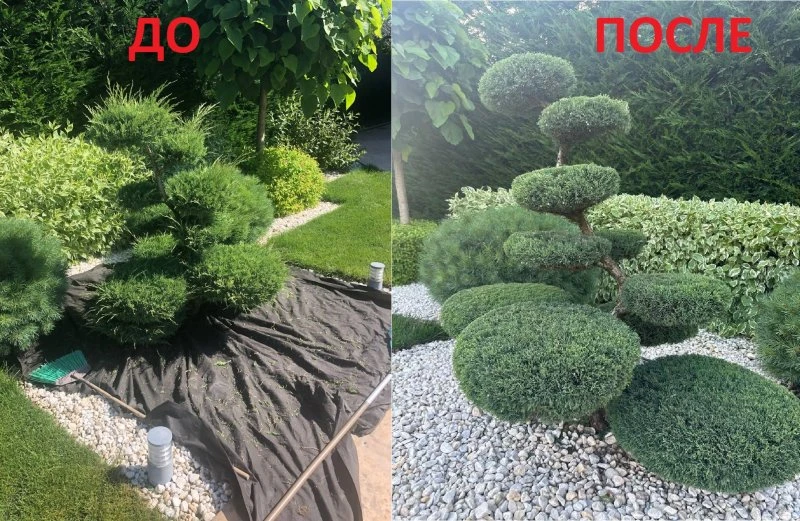 КУСТОРЕЗ КУРГАНИНСК