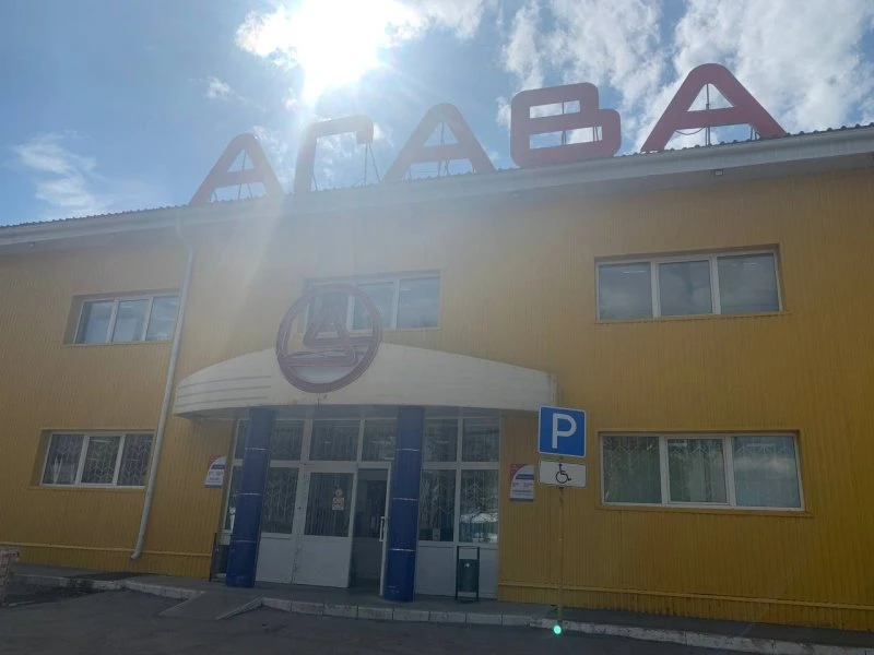 Агава