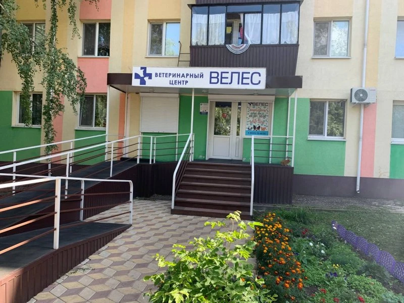 Велес