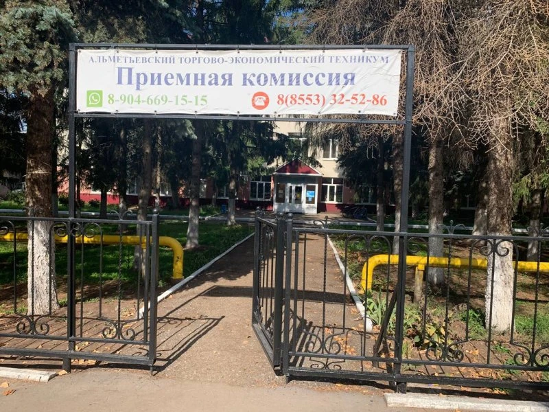 Альметьевский торгово-экономический техникум