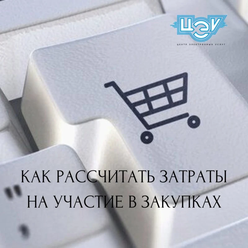 Центр Электронных Услуг