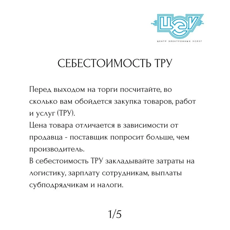 Центр Электронных Услуг