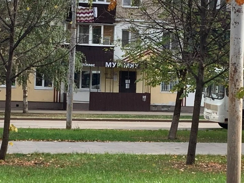Мур Мяу