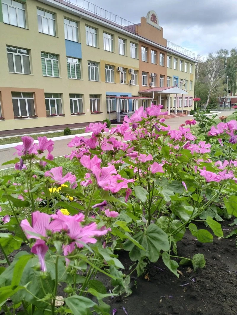 Альметьевская школа №19 для детей с ограниченными возможностями