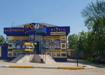 Профи Байс